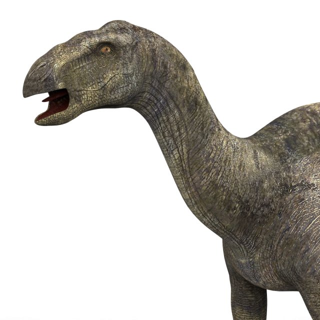 iguanodon dinosaur 3D Модель .c4d .max .obj .3ds .fbx .stl .blend 