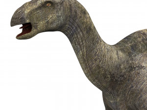 iguanodon dinosaur 3D 模型