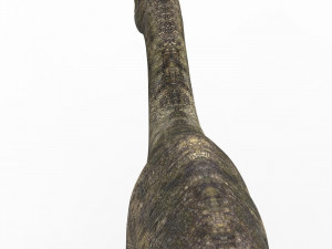 iguanodon dinosaur 3D Модель