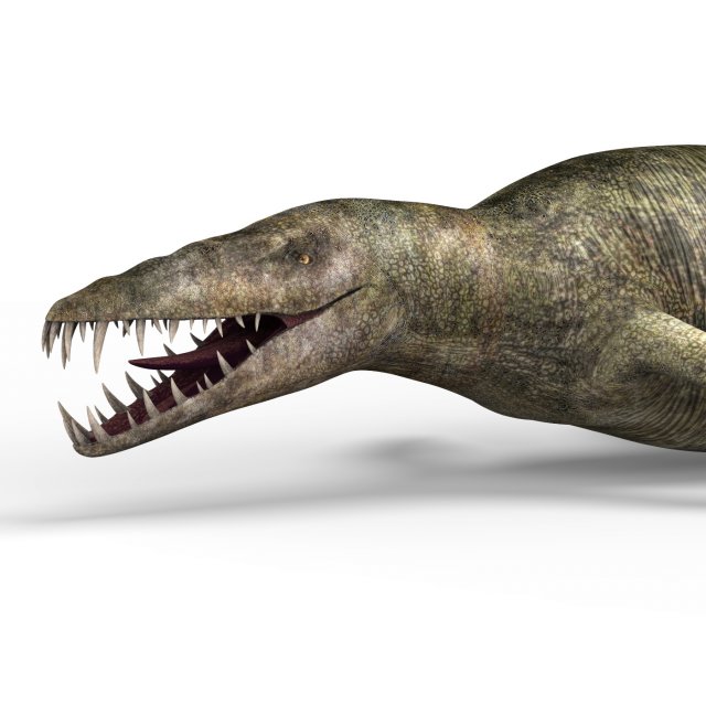liopleurodon dinosaur 3D Model .c4d .max .obj .3ds .fbx .stl .blend 