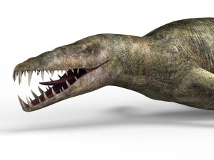 liopleurodon dinosaur 3D Model