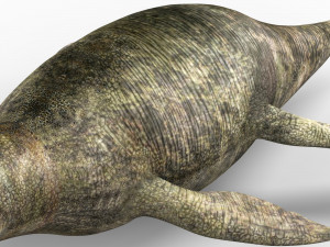liopleurodon dinosaur 3D Model