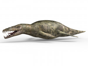 liopleurodon dinosaur 3D Model