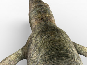 liopleurodon dinosaur 3D Model