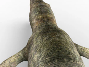 liopleurodon dinosaur 3D Model