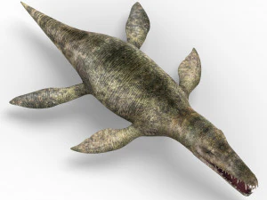liopleurodon dinosaur 3D Model
