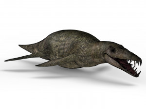 liopleurodon dinosaur 3D Model