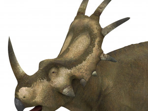 styracosaurus dinosaur 3D Model