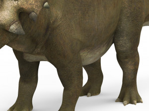 styracosaurus dinosaur 3D Модель