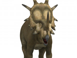 styracosaurus dinosaur 3D Модель