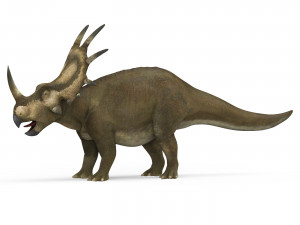 styracosaurus dinosaur 3D Модель