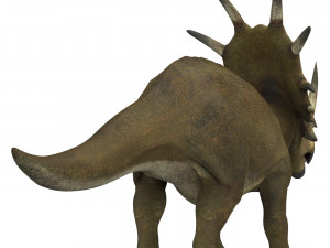 styracosaurus dinosaur 3D Модель