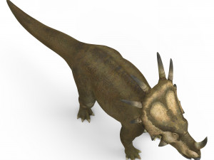styracosaurus dinosaur 3D Модель