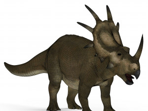 styracosaurus dinosaur 3D Модель