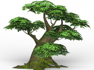 game ready fantasy tree 06 3D Model