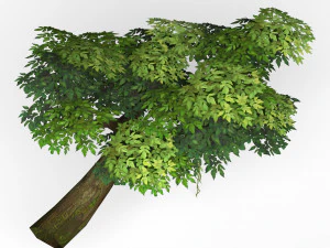game ready fantasy tree 08 3D Model