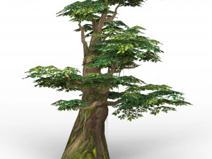 game ready fantasy tree 09 3D Model