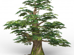 game ready fantasy tree 11 3D 模型