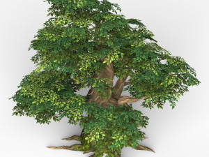 game ready fantasy tree 11 3D Модель