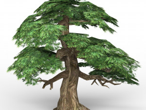 game ready fantasy tree 12 3D मॉडल
