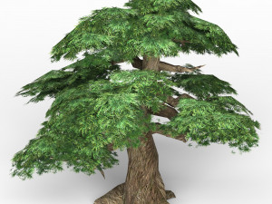 game ready fantasy tree 12 Modèle 3D