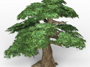 game ready fantasy tree 12 3D Model