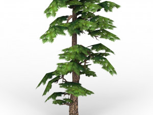 game ready fantasy tree 15 3D Model