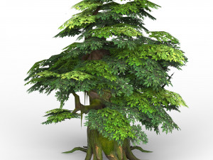 game ready fantasy tree collection 3D Model