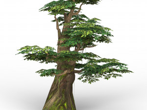 game ready fantasy tree collection 3D Model