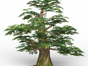 game ready fantasy tree collection 3D Model