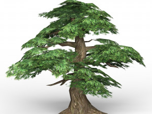 game ready fantasy tree collection 3D Model