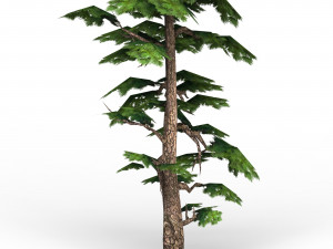 game ready fantasy tree collection 3D Model