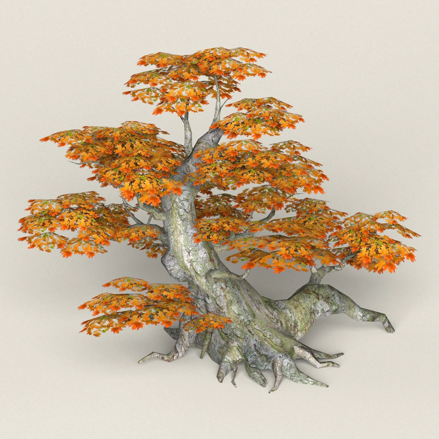low poly maple tree 01 3D Model .c4d .max .obj .3ds .fbx .stl .blend 
