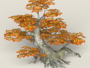 low poly maple tree 01 3D Model