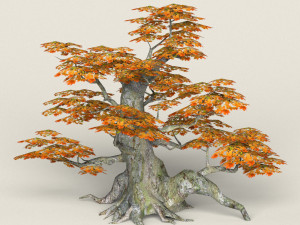 low poly maple tree 01 Modèle 3D
