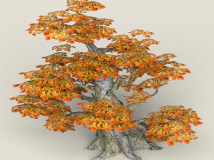 low poly maple tree 01 3D Model