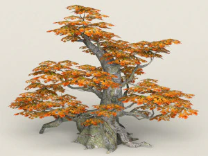 low poly maple tree 01 3D Model