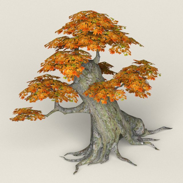 low poly maple tree 02 3D मॉडल .c4d .max .obj .3ds .fbx .stl .blend 