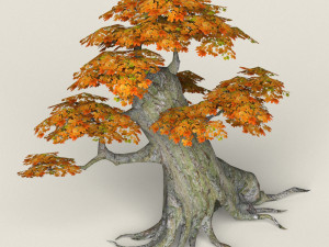 low poly maple tree 02 3D Model