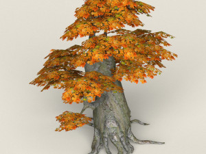 low poly maple tree 02 3D मॉडल