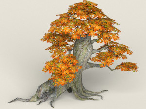 low poly maple tree 02 3D मॉडल
