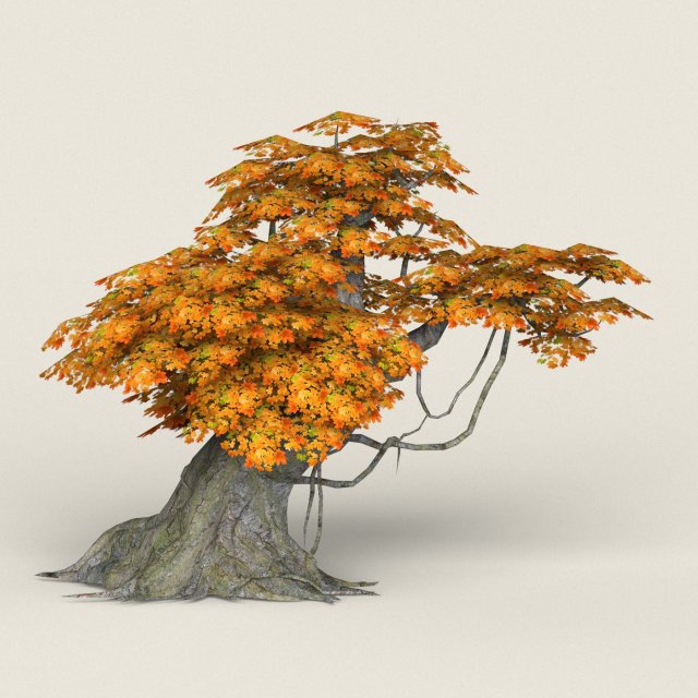 low poly maple tree 03 Modèle 3D .c4d .max .obj .3ds .fbx .stl .blend 