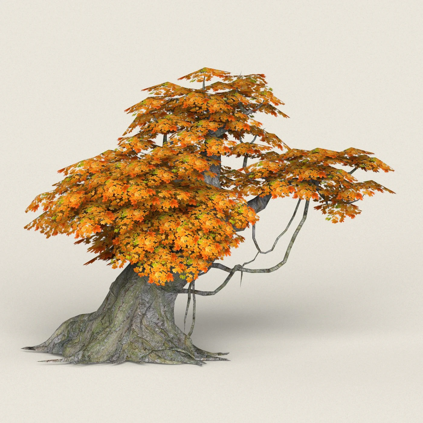 low poly maple tree 03 3D Model .c4d .max .obj .3ds .fbx .stl .blend