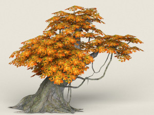 low poly maple tree 03 3D 模型