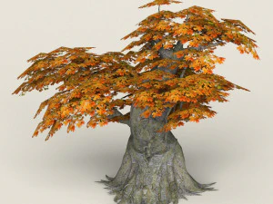 low poly maple tree 03 3D Model