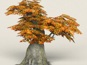 low poly maple tree 03 3D Model