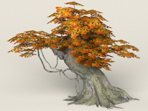 low poly maple tree 03 Modèle 3D