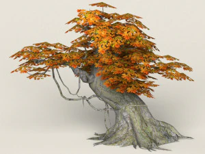 low poly maple tree 03 3D Model