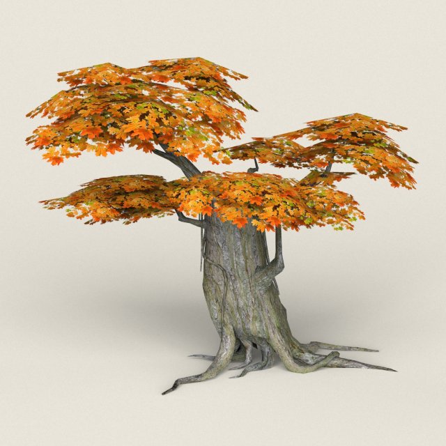 low poly maple tree 04 3D 모델 .c4d .max .obj .3ds .fbx .stl .blend 
