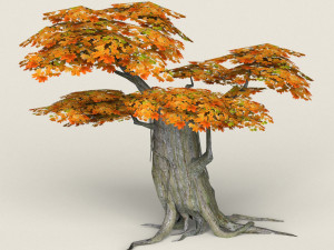low poly maple tree 04 3D Model
